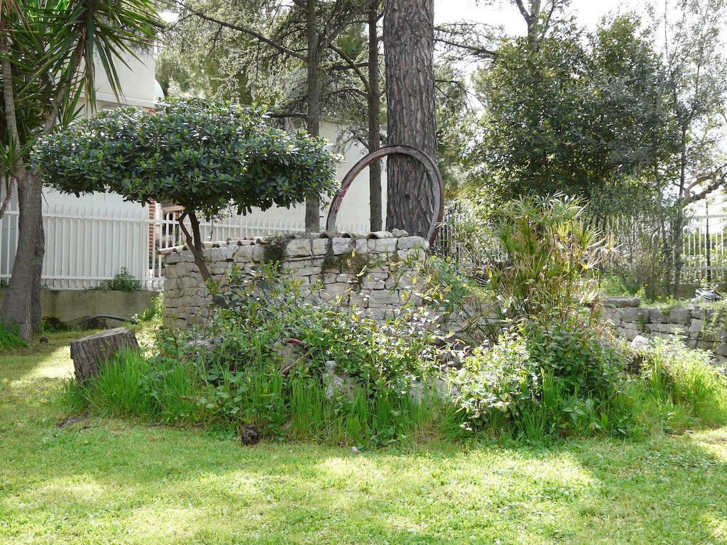 B&B Villa Garden Bisceglie Exteriér fotografie
